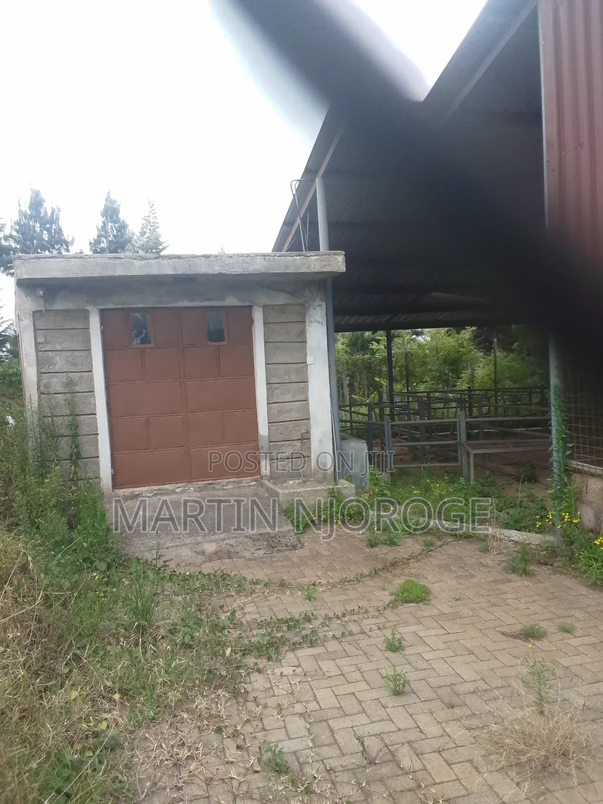 Modern Cow Shed/ Farm Uplands