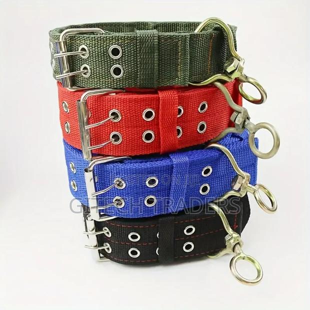Large Dog Collar