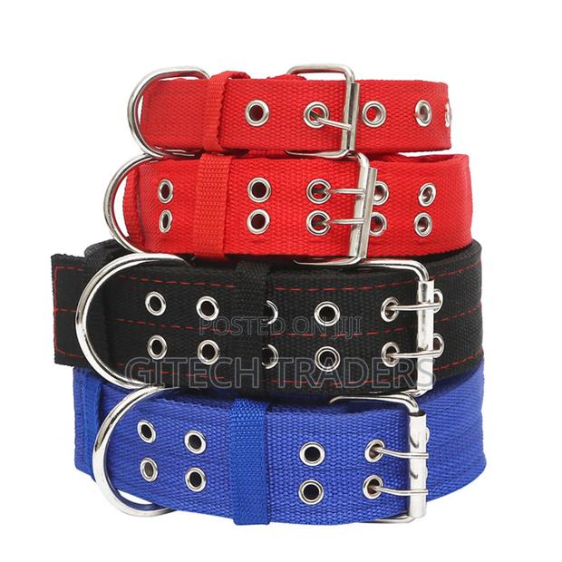 Dog Collar Medium