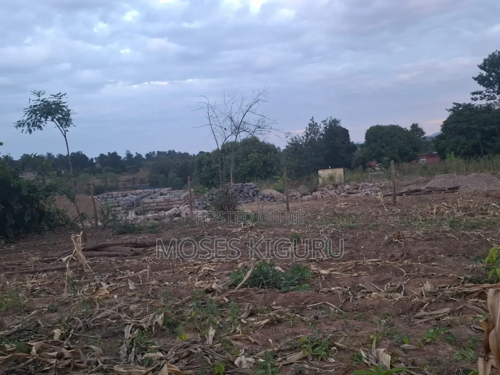 Mananja, 50x100 Plots.