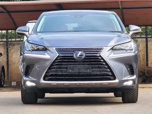 Lexus NX 300h 2019 Gray