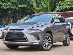 Lexus NX 300h 2019 Gray