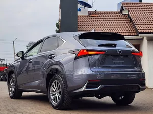 Lexus NX 300h 2019 Gray