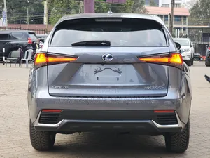 Lexus NX 300h 2019 Gray