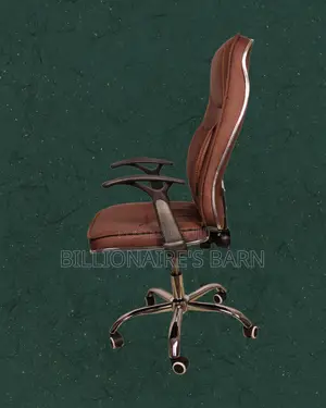 Heavy-Duty Ergonomic Executive Leather Chair | Tilt Lock Mechanism