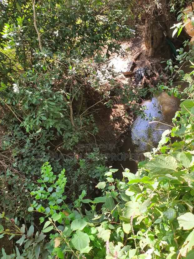 1 Acre Mirera Nanyuki - thumbnail 2