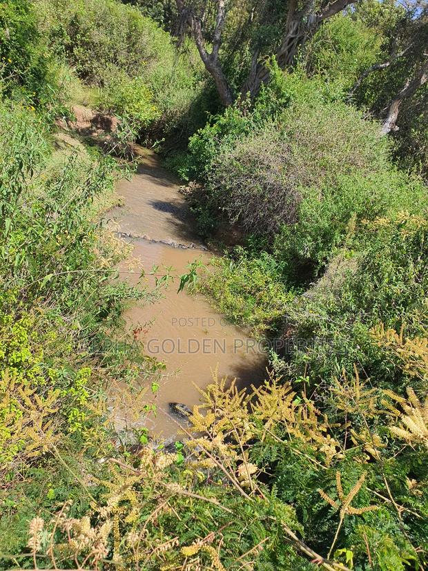 1 Acre Mirera Nanyuki - thumbnail 4