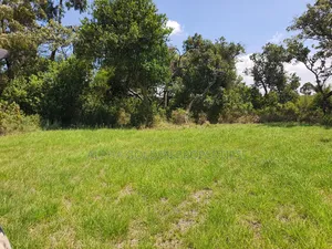 1 Acre Mirera Nanyuki