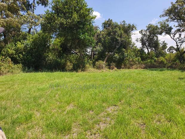 1 Acre Mirera Nanyuki