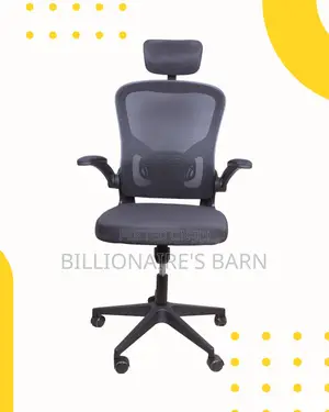 Grey Ergonomic Office Chair | Sleek Lumbar Support