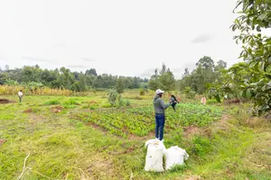 Prime Residential Plots for Sale in Kikuyu, Mai-Ii-Ihii