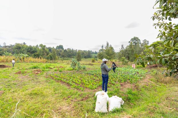 Prime Residential Plots for Sale in Kikuyu, Mai-Ii-Ihii - thumbnail 2