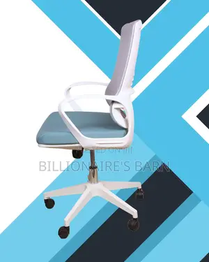 Plush White Ergonomic Mesh Office Chair | Scratch-Resistant Finish
