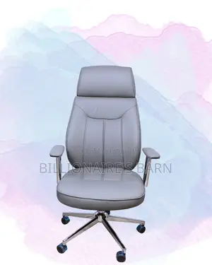 Ergonomic Grey Executive Leather Office Chair | Mesh Backrest