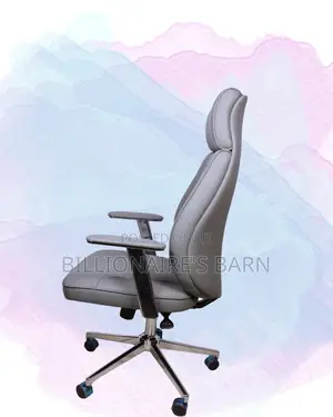 Ergonomic Grey Executive Leather Office Chair | Mesh Backrest