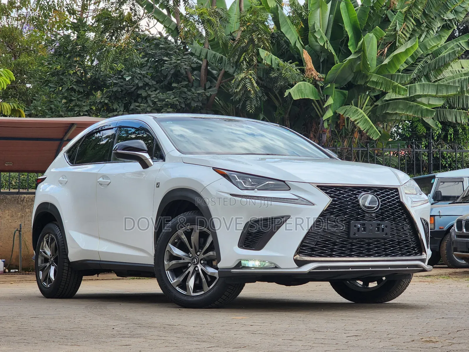 Lexus NX 2018 White