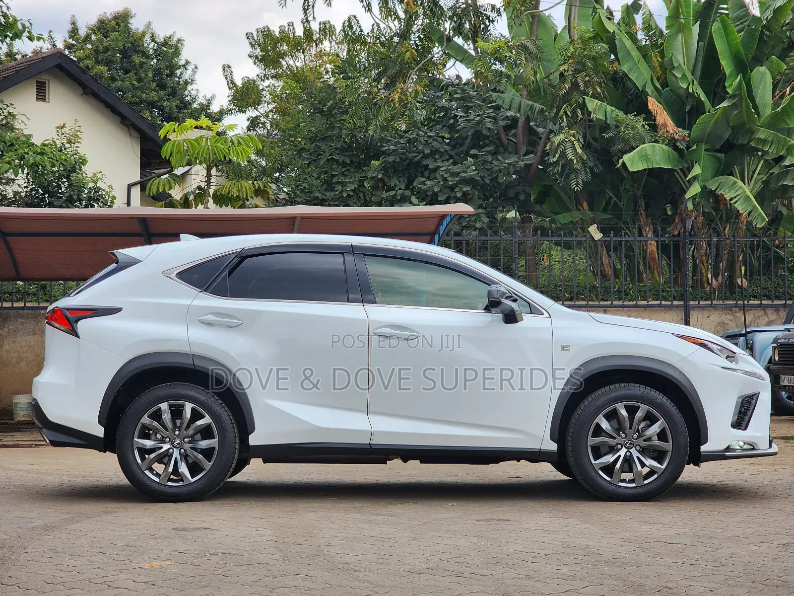 Lexus NX 2018 White