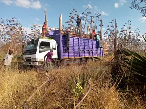 Sisal Poles Delivery Service.