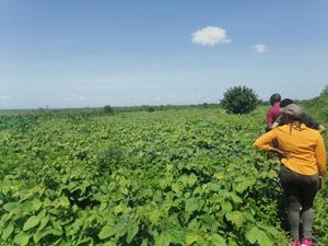Prime Affordable 30-Acre Fertile Ranches in Malindi - thumbnail 2