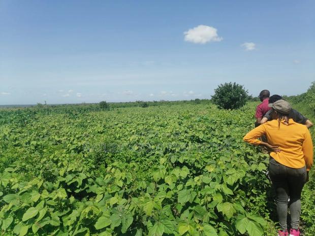 Prime Affordable 30-Acre Fertile Ranches in Malindi - main view