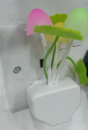 Automatic Glow in the Dark Flower Led Plug on the Wall Night Light