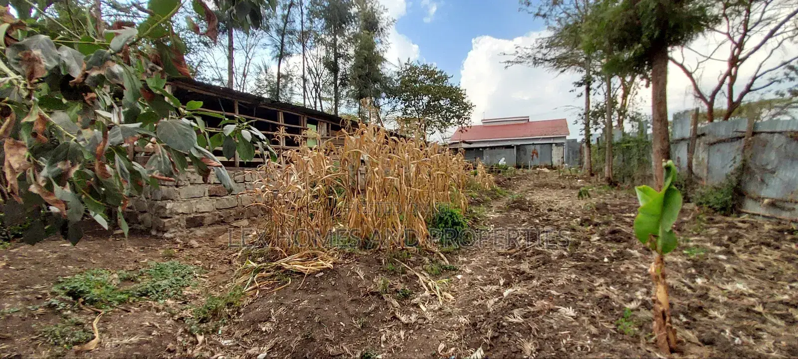 3bdrm Bungalow in Nkoroi for sale