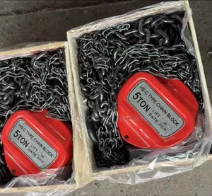 5ton 6mtrs Lifting Chain Block/ Pulley Block