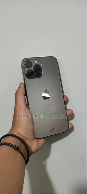 Apple iPhone 13 Pro Max 128 GB Gray - thumbnail 2