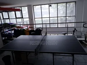 Premium 18mm Ping Pong Table – Easy Storage