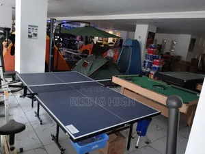Foldable 18mm Table Tennis Board With Wheels