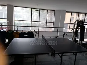 18mm Table Tennis Board – Home School Use
