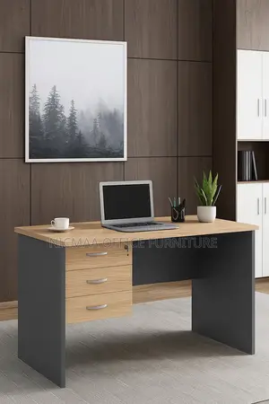 Modern Elegance Meets Functionality Desk