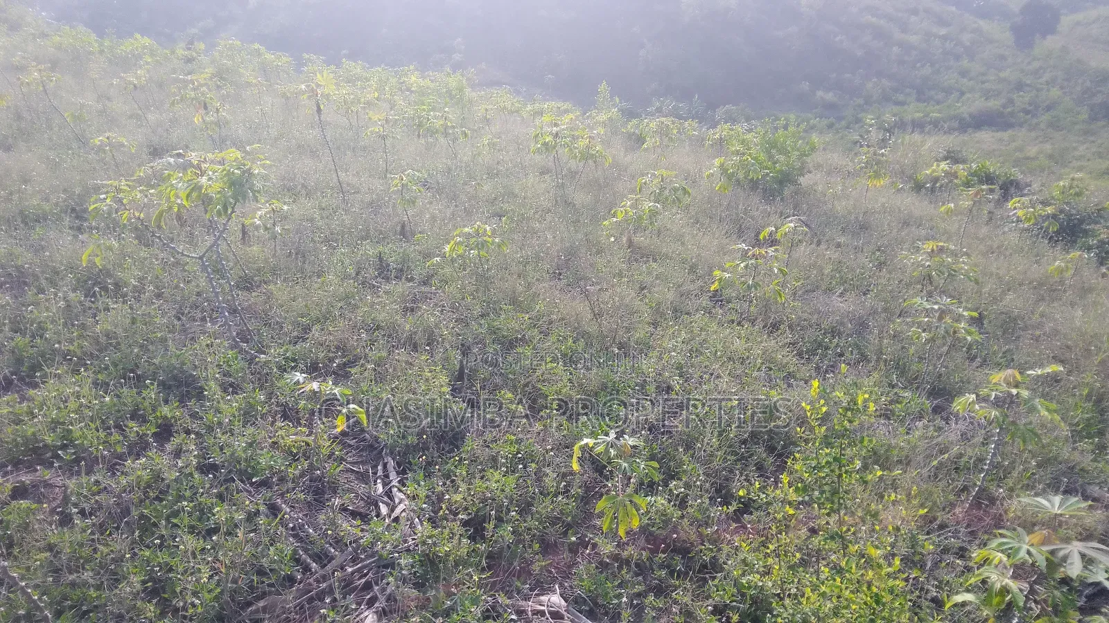 One Acre Land on Sale