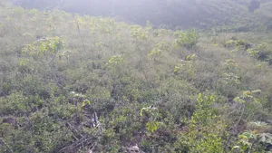 One Acre Land on Sale