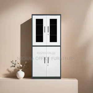 Glass Solid Door Combo Cabinet