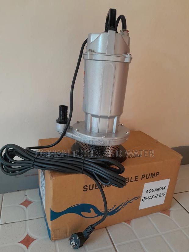 Aquamax Submersible Pump 1 Hp 32m Head Qdx - thumbnail 2