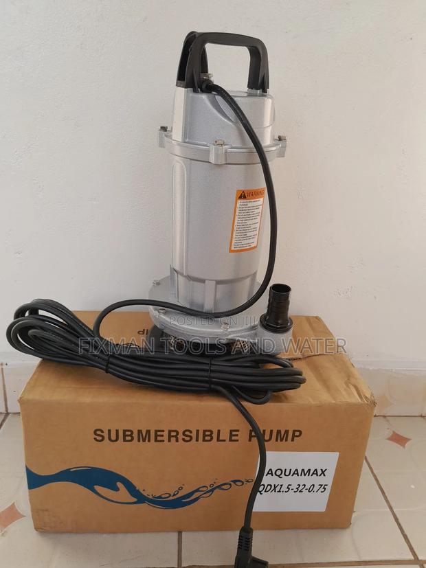 Power Domestic Aquamax 1hp Submersible Water Pump 32m Head - main view