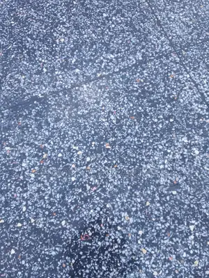 Terrazzo Settings