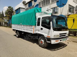 Isuzu Frr33 2019