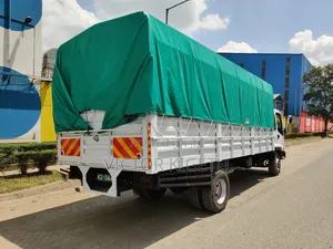 Isuzu Frr33 2019
