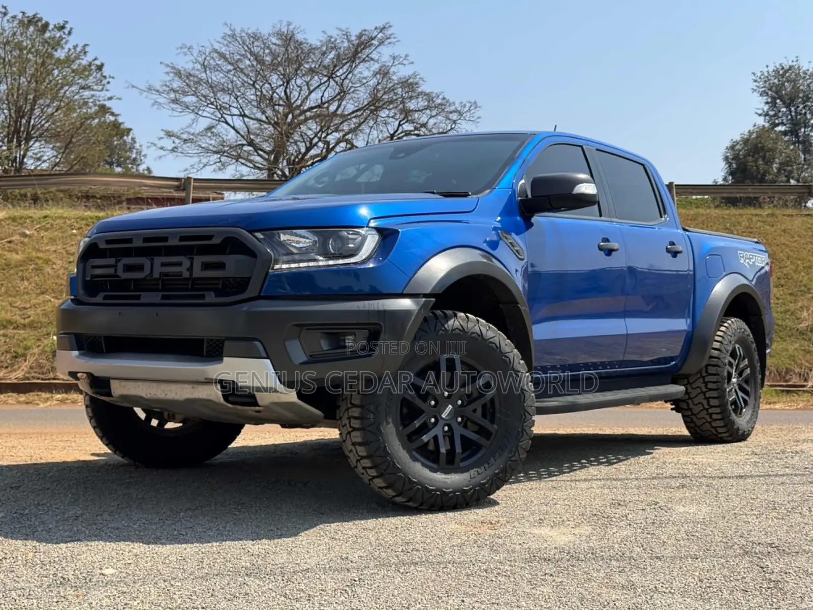 Ford Ranger 2019 Blue