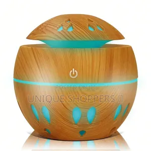 Small Mushroom Humidifier 200ml Tank 2w 50ml/H