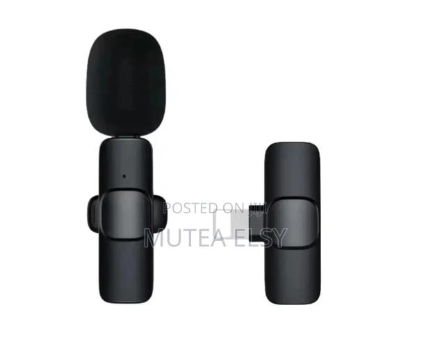 Wireless Microphone - main view