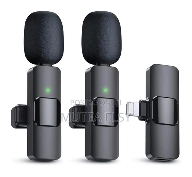 Wireless Microphone - thumbnail 2