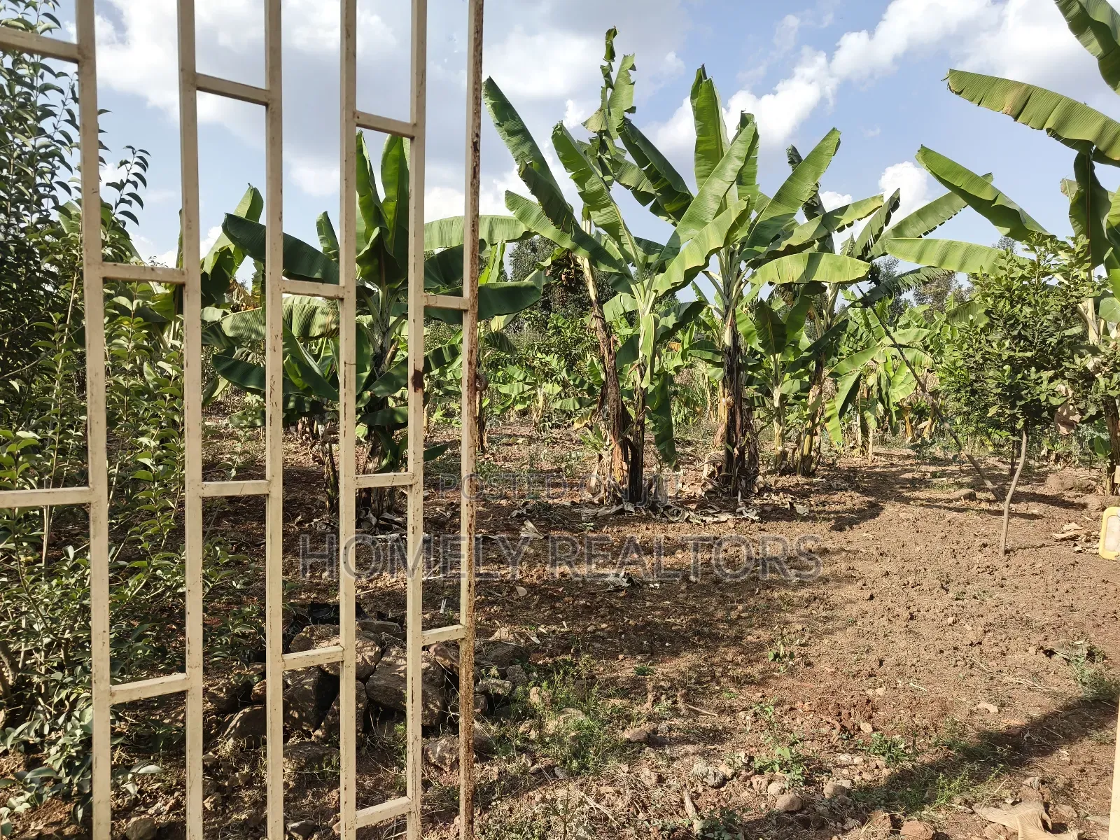 Residential Quarter Acre Plot in Kerarapon Drive, Ngong. Red Soil.