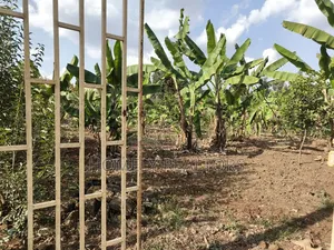 Residential Quarter Acre Plot in Kerarapon Drive, Ngong. Red Soil.