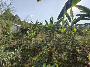 Residential Quarter Acre Plot in Kerarapon Drive, Ngong. Red Soil.