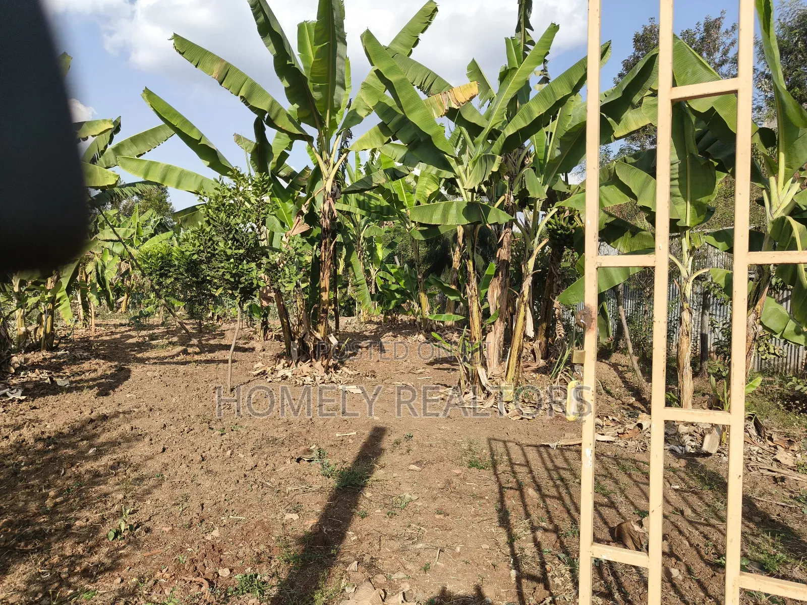 Residential Quarter Acre Plot in Kerarapon Drive, Ngong. Red Soil.