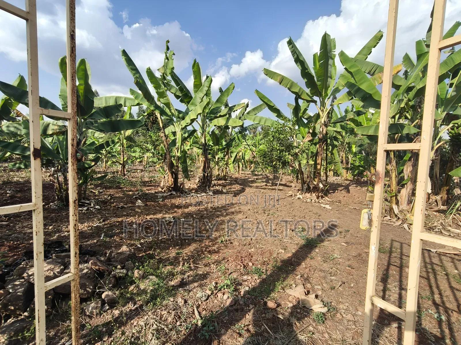 Residential Quarter Acre Plot in Kerarapon Drive, Ngong. Red Soil.