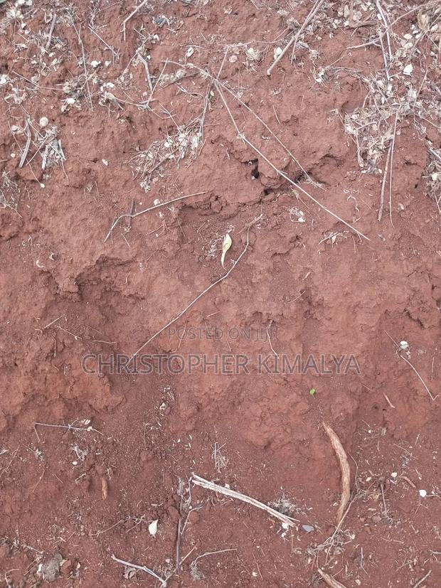5 Acres Best Red Soil Land for Sale - thumbnail 4
